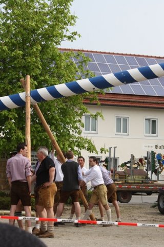 Maibaum 2013